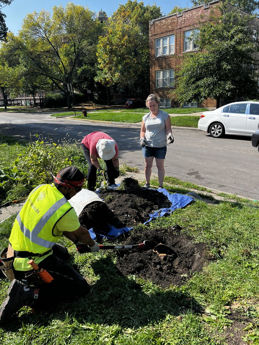 Thank you to all the volunteers from around #chicago that joined @OpenLands today & descended upon #IrvingPark planting so many trees!!  Thanks also to @35th_Ward @commissonerajq @VoteJAndrade for their continued support