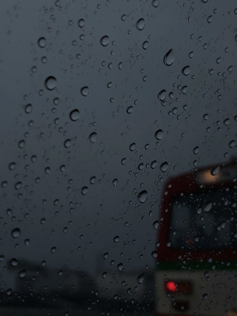 zervci's tweet image. 