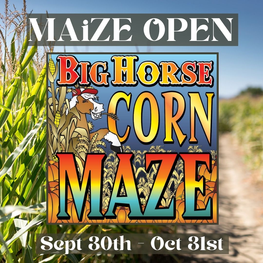 Join us this opening weekend at the Big Horse Corn Maze.
📷 33320 Temecula Pkwy, Temecula, CA 92592
Tickets and opening hours: bighorsecornmaze.com
#happyfall #cornmaze #harvestfestival #pumpkinpatch #visittemecula #temeculavalley #fallactivities #familydayout