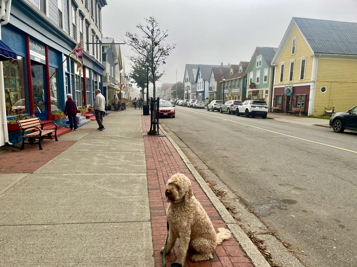 Vicki_Hogarth's tweet photo. It’s a warm and foggy morning in downtown St. Andrews by-the-Sea. What a perfect way to bid farewell to September. #explorenb #explorestandrews https://t.co/2TXdlR4t7T