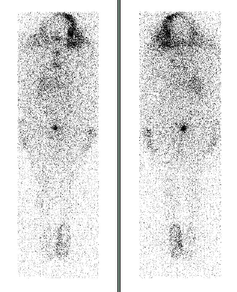 Nuclear MD tweet media