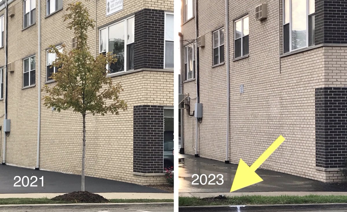 LongLiveTrees's tweet photo. @chicagotribune @wttw @WGN @ABC7Chicago @nbcchicago  the ‘burbs are losing TONS of trees — and it’s 100% preventable. Wasting $$$, water, materials, labor, and TIME…  on trees that‘ll never mature to help our air, handle stormwater, or simply make IL a nicer place to live. https://t.co/1ZZpaAm96k
