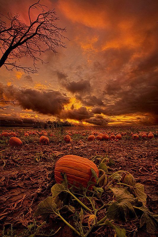 October time is the best time 😊 🎃🍂🎃🍂🎃🍂🎃🍂🎃 #Halloween