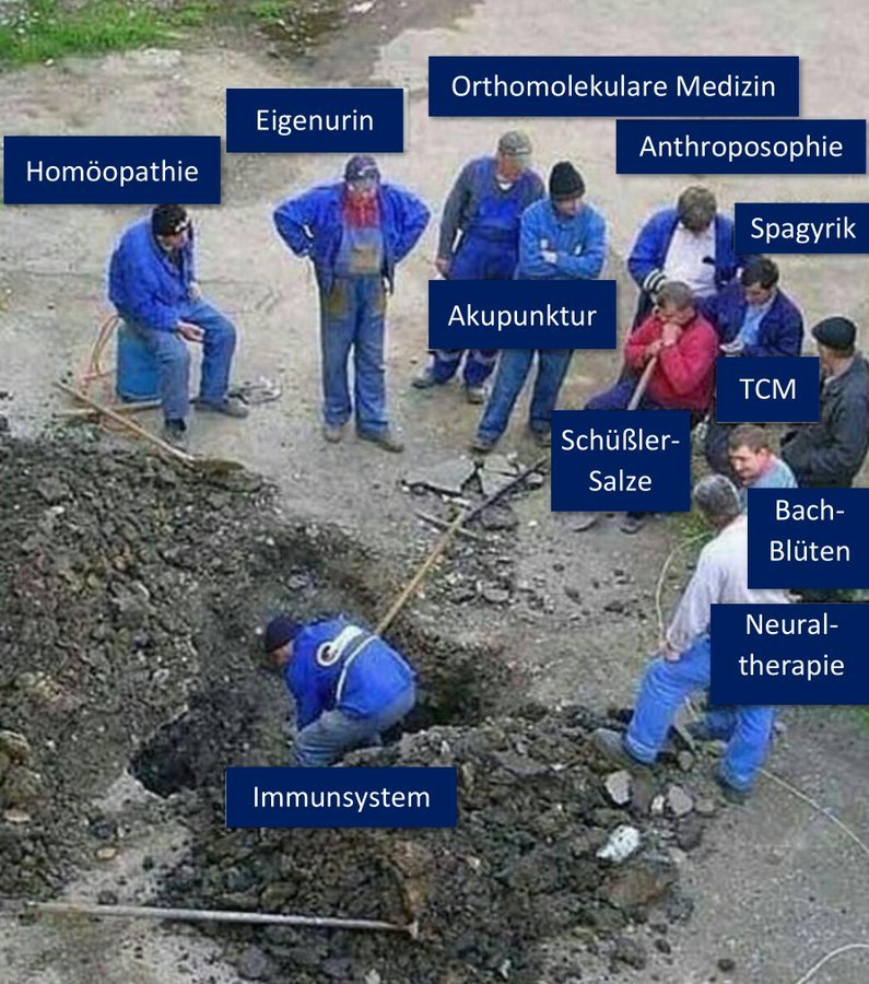 Hosenmaus tweet media