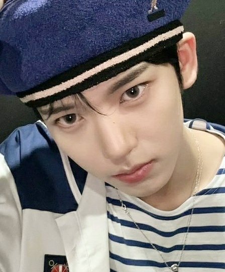 ✿ ash meow !? 💤 tweet media