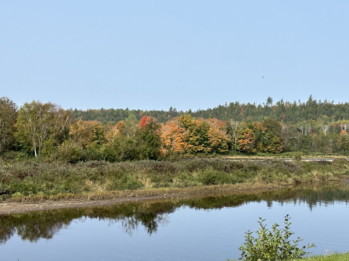 Faith Matchett tweet media