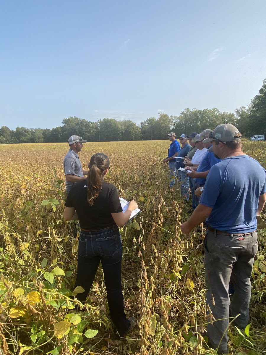 whiteycornking's tweet photo. Harvest in full swing in Mighty MO! @PioneerSeeds reps taking a couple hours across the state to fine tune A Series soybeans and get a👀 at next next generation of beans to bring even more yield to growers.  Never Stop!  #PlantPioneer https://t.co/clyXDktHA6