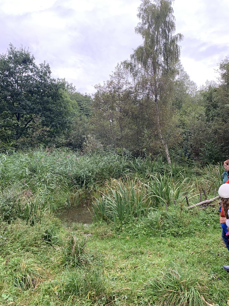 Community Woodlands Association tweet media