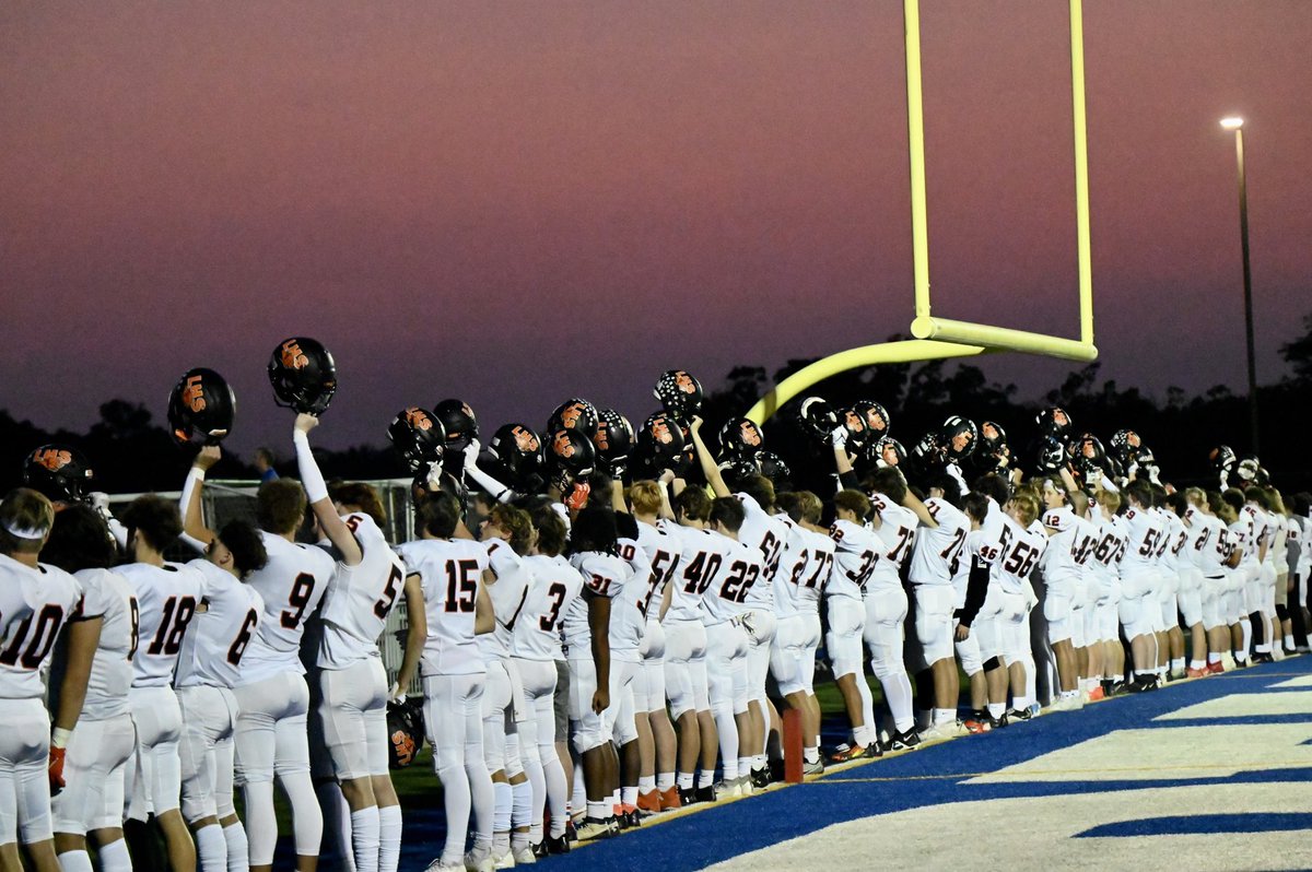 Fall down three times, stand up four.

#SkoCats #Project153 #Ferda