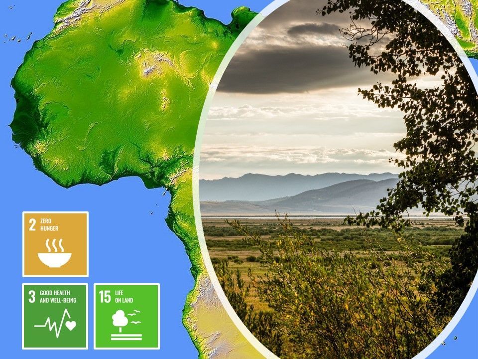 SAJournalofScience (@sajs_official) on Twitter photo What can be gained from the conservation of old-growth #grasslands? The importance of carbon credits, biodiversity offsets, and the future of agriculture and grasslands in Africa. <a href="/slooten_elaine/">Elaine Slooten</a> @SallyArchibald <a href="/trailmix_jdmw/">Joseph D.M. White</a> <a href="/FERG_NWU/">FERG NWU</a> #SDG2 #SDG3 #SDG15 bit.ly/48ALgis What can be gained from the conservation of old-growth #grasslands? The importance of carbon credits, biodiversity offsets, and the future of agriculture and grasslands in Africa. <a href="/slooten_elaine/">Elaine Slooten</a> @SallyArchibald <a href="/trailmix_jdmw/">Joseph D.M. White</a> <a href="/FERG_NWU/">FERG NWU</a> #SDG2 #SDG3 #SDG15 bit.ly/48ALgis