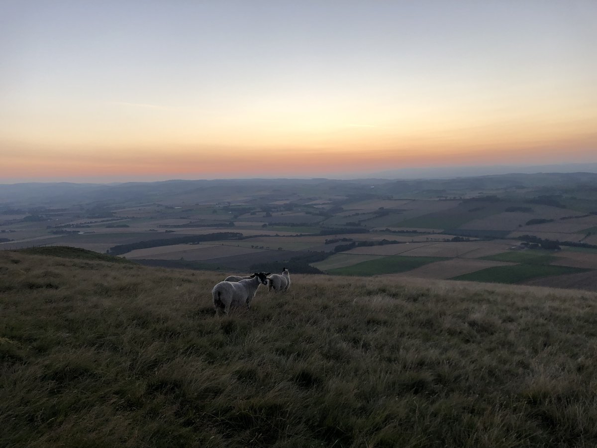 The stunning views of West Lomond will take your breath away. 🌅 West Lomond is the highest point in the Kingdom of Fife and the highest peak in the Lomond Hills. Book your stay now 🏠 elderburnlodges.co.uk/book-now/