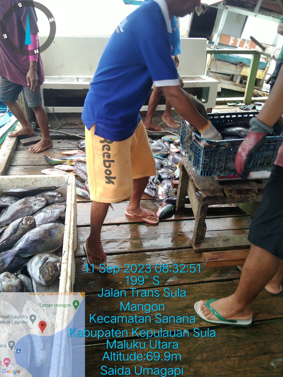 SaidaUmagapi's tweet photo. Senin 18 September ,Saida Umagapi Luhkan Sula Bp3ambon Melaporkan hasil tangkapan Bapak Iwan Ikan dasar tangkapan panah 200 kg dengan harga / kg,35,000
#Giatluhkanbp3ambon
#Luhlaporko
#Luhlaporbp3ambon https://t.co/1mEAWZn1tB