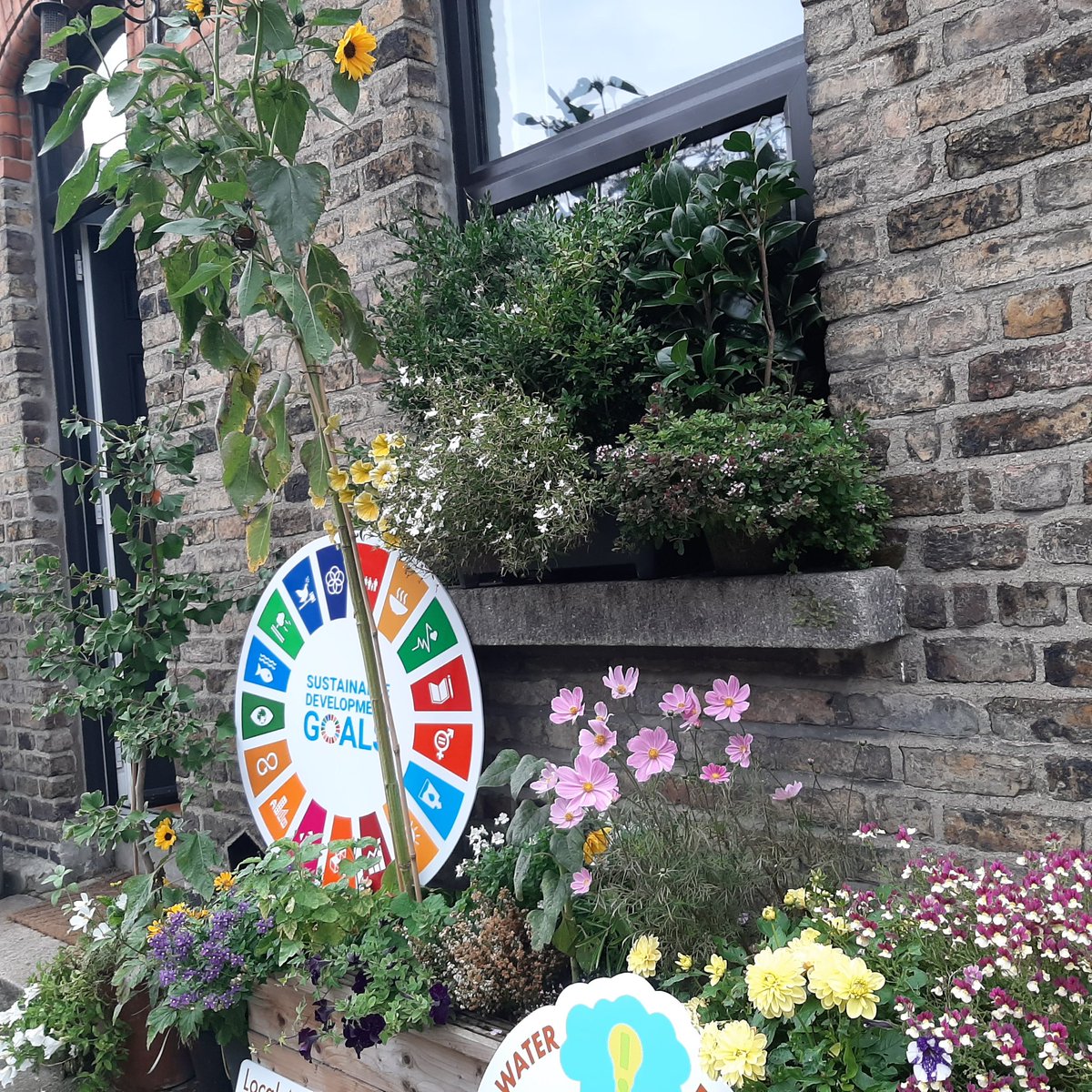 noonan_malcolm's tweet photo. I helped launch the @WatersProgramme Community Water Development Fund in beautiful #Stoneybatter where nature based solutions to urban rainwater runoff have taken to the streets.
For more information on #CWDF 2024 ,👇
https://t.co/R0pKjBTMx2 https://t.co/w90hs7AJMJ