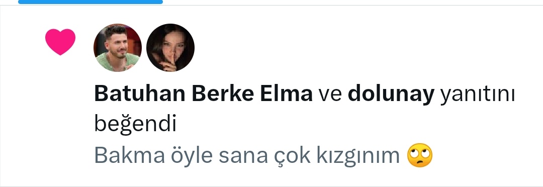 Bundanim olmus olabilir ama hâlâ kızgınım Batuhan Berke Elma bey

#berbus