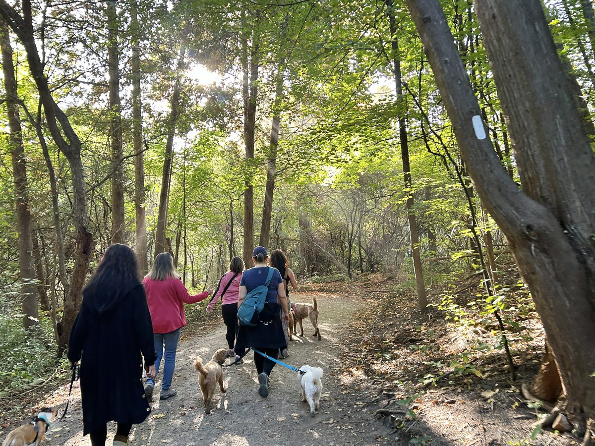 SeeWhatSheCanDo's tweet photo. An amazing start to the day with a glorious walk in the woods in @Town_of_Aurora with our #SWSCD #WomenAndDogs Group presented with #MuttzWithMannerz. Join us for our Oct. and Nov. hikes - we’d love to see you. #SeeWhatSheCanDo #SWSCDWomensCircles  #KeepActive #CommunityCounts https://t.co/7RFlYvDHdc
