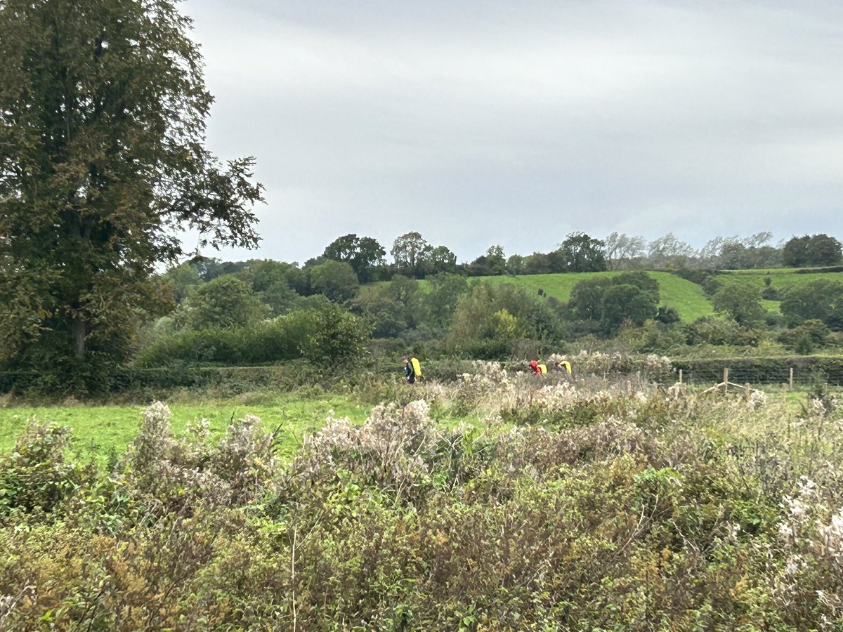 North DofE Award tweet media