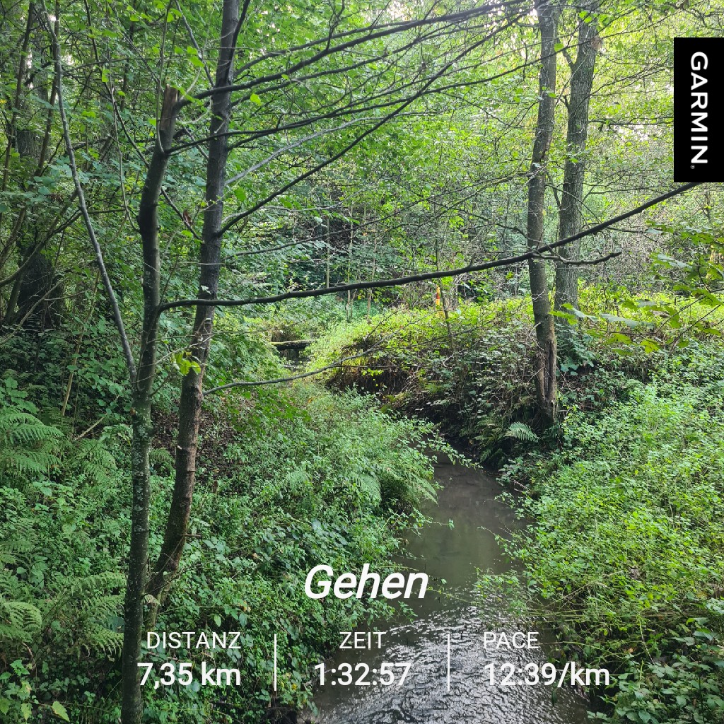 Immergrün... ist die Hoffnung 💚