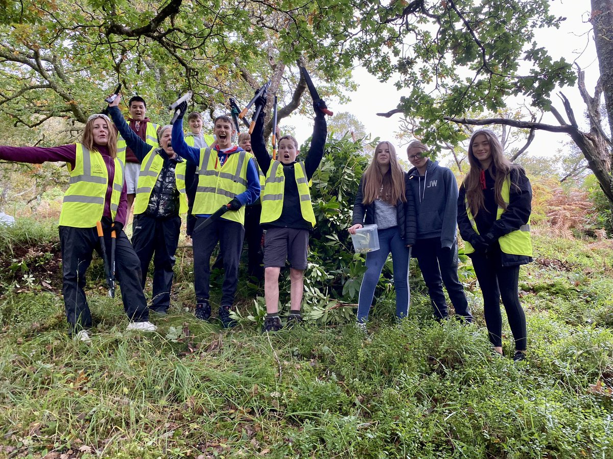 Brilliant effort by the @dunoongrammar pupils #volunteering today tackling #INNS invasive Rhododendron at Cormonachan Woods in Lochgoilhead & couple of coats of paint on the Red squirrel 🐿️ hide. Great teamwork and hard work shown by everyone 👏🏻#LfSforAll @lomondtrossachs