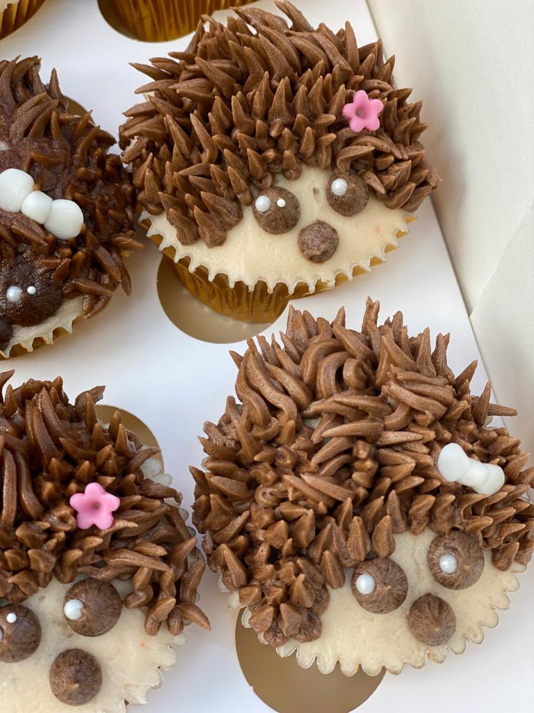 Mountnessing School tweet media