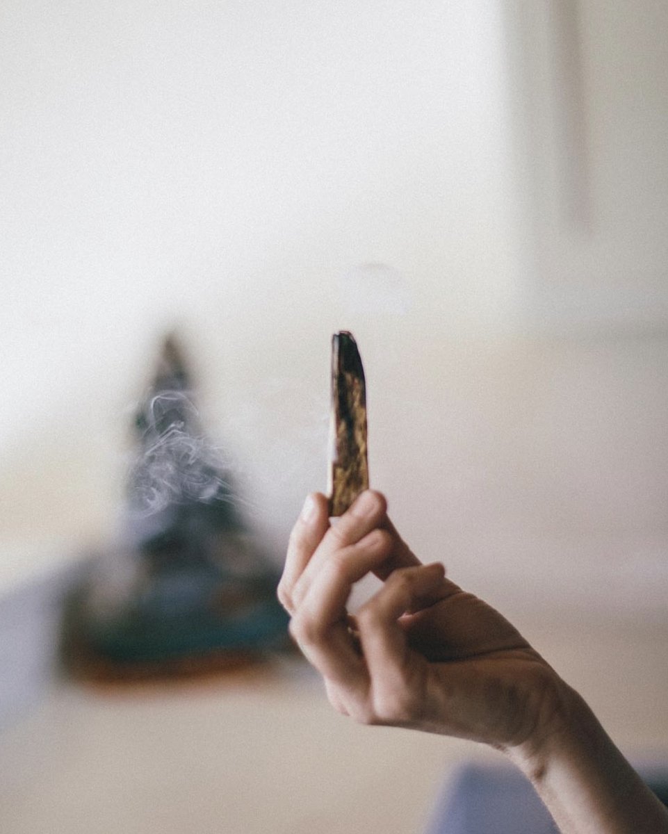 Maya Brenner tweet media