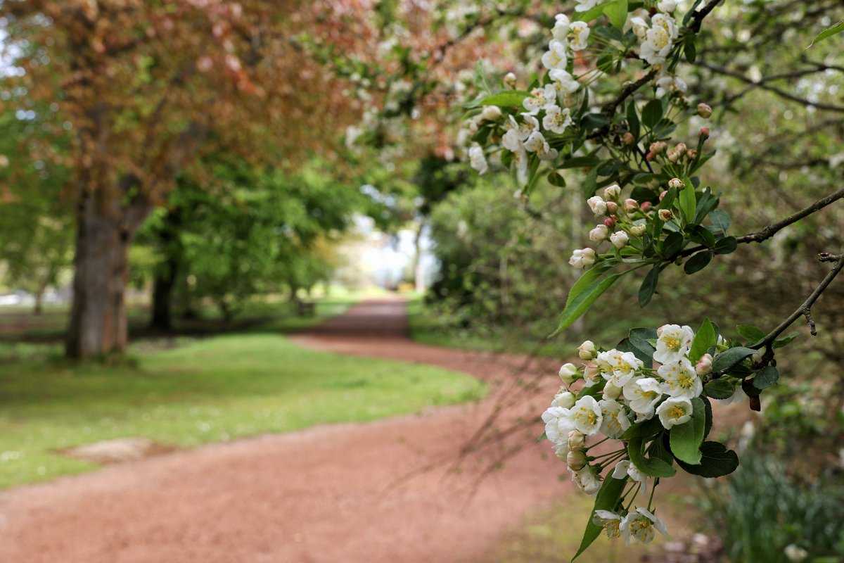 Nature is the ultimate therapy 💚  Spend the day exploring St Andrews Botanic Gardens, just a short drive from Elderburn Lodges. 🌸 🌿   After a busy day of strolling the gardens, come back and unwind at Elderburn.  Find more things to do here 👇 elderburnlodges.co.uk/things-to-do/