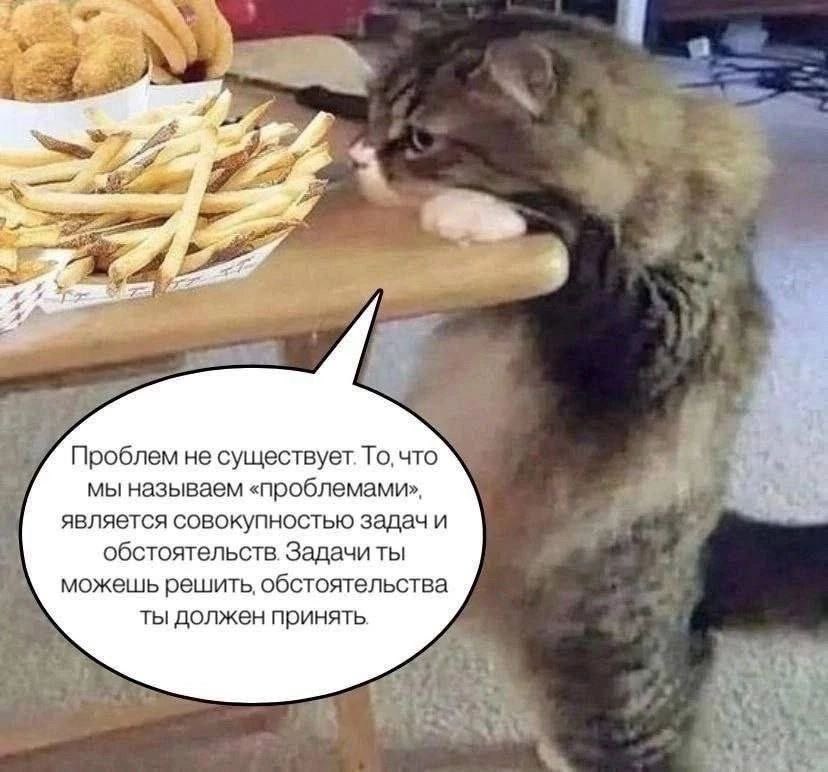 digg_kz's tweet photo. https://t.co/GgVh54uoi6