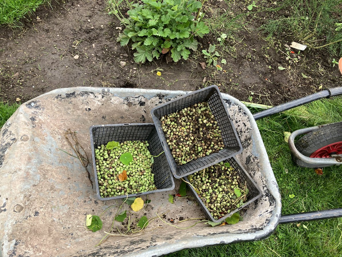 Friends- Kings Park tweet media