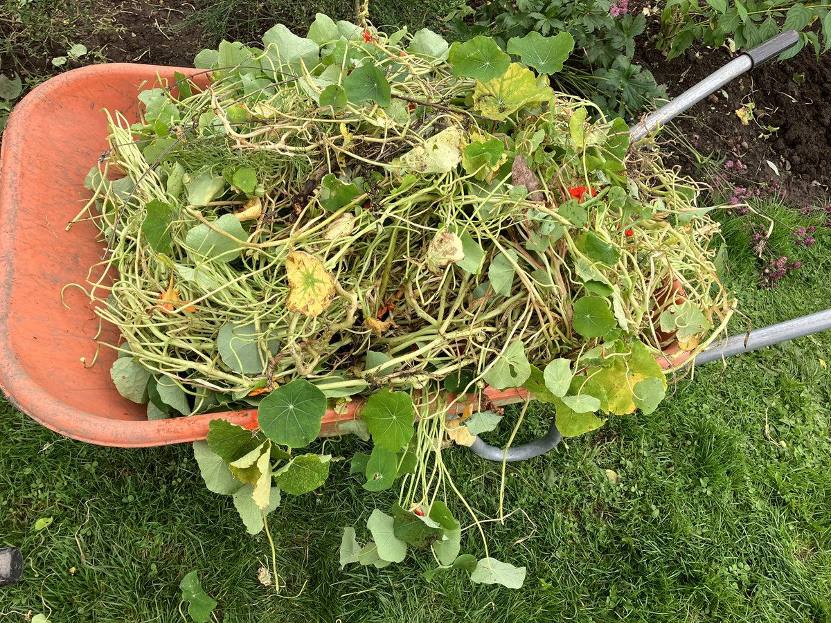 Friends- Kings Park tweet media