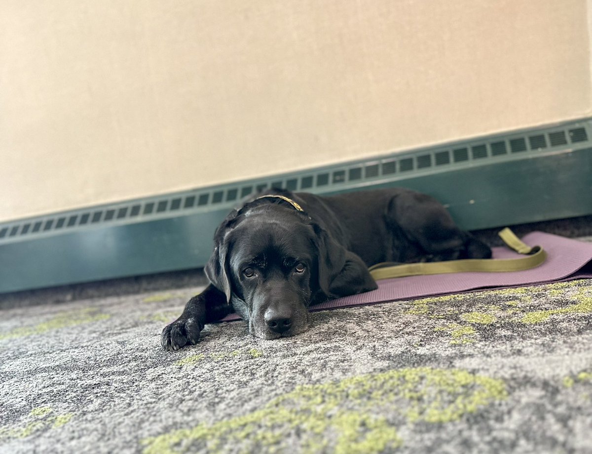 Kayla Moncayo tweet media