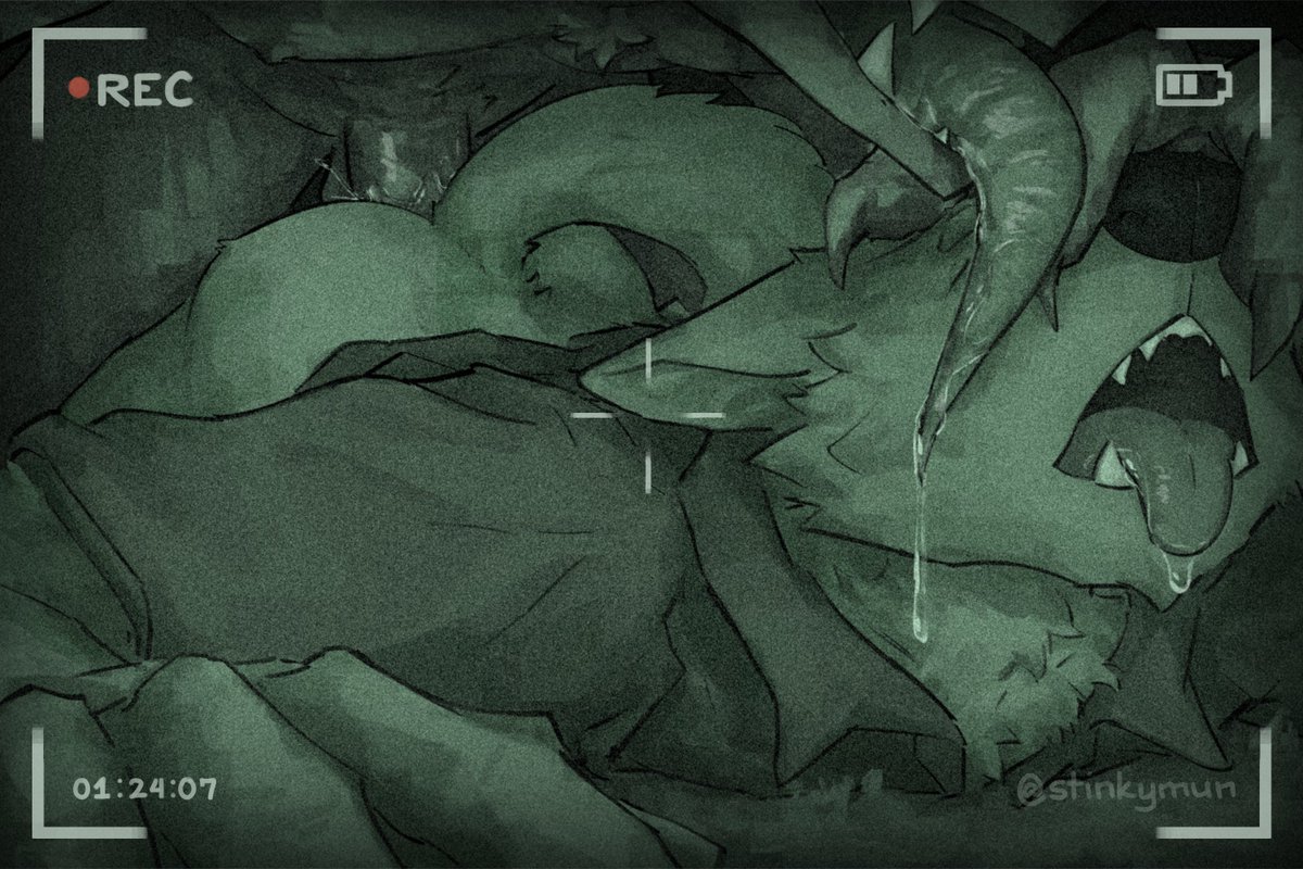 paranormaI investigation.