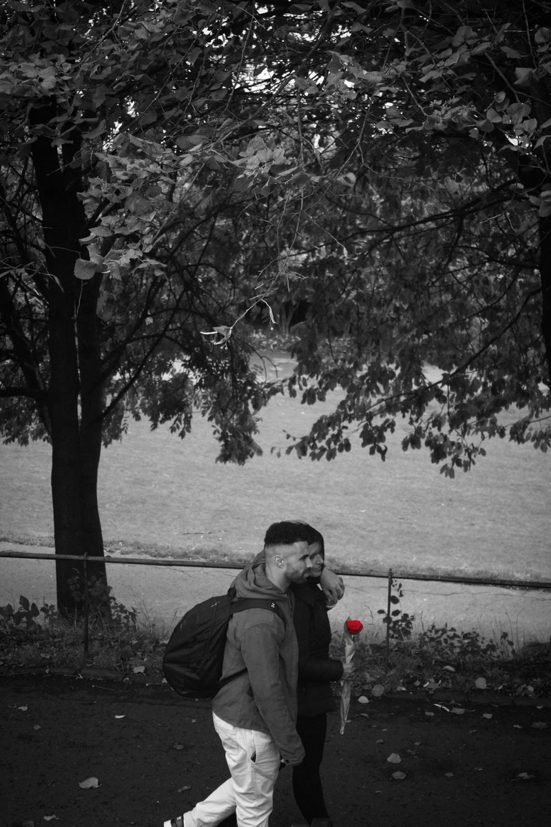 red rose #red #rose #photogaphy
