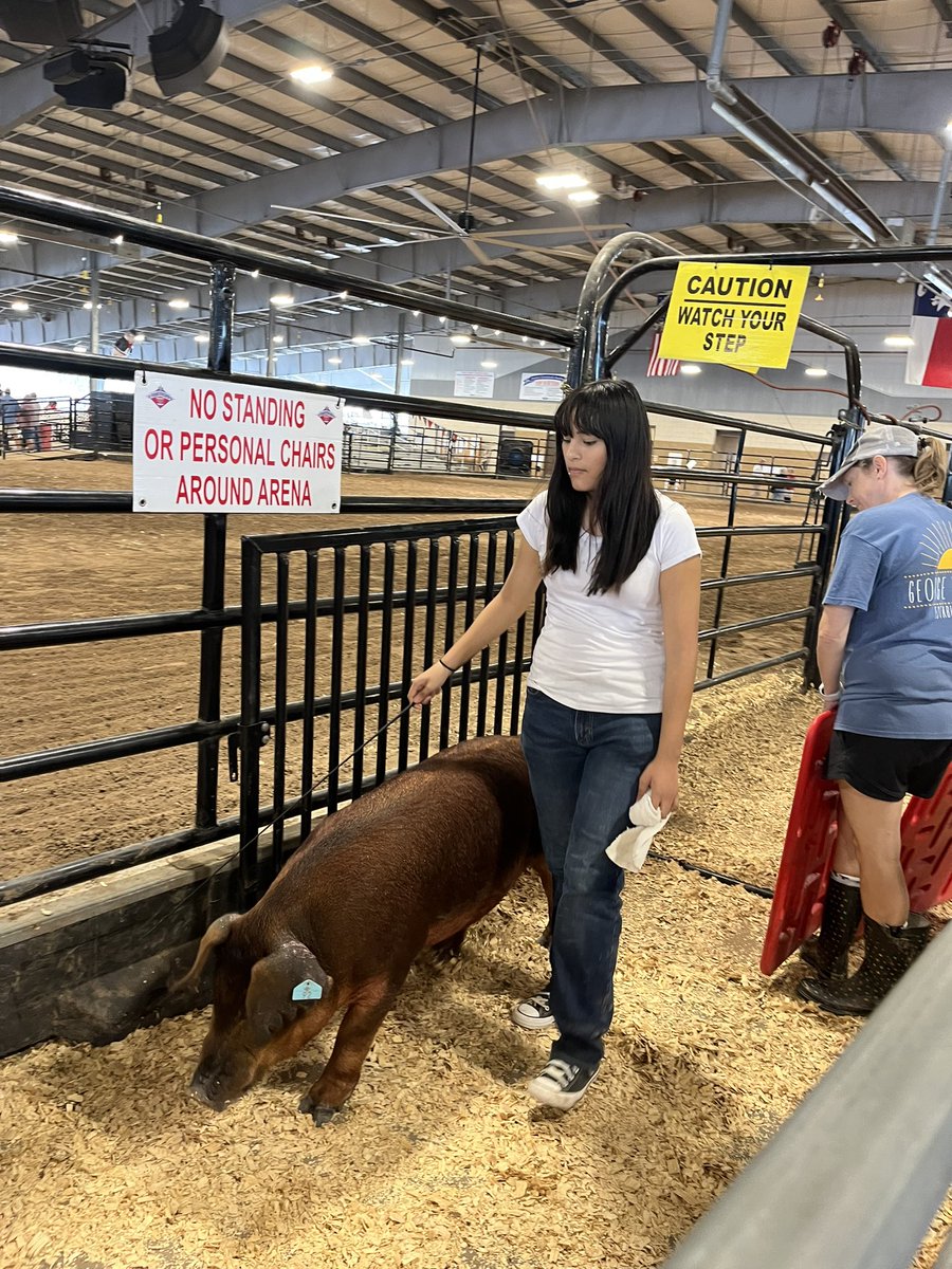 FFAHightower's tweet photo. FBCF pig check in, tomorrow we show! #hhsffa https://t.co/6aROfNAvUC