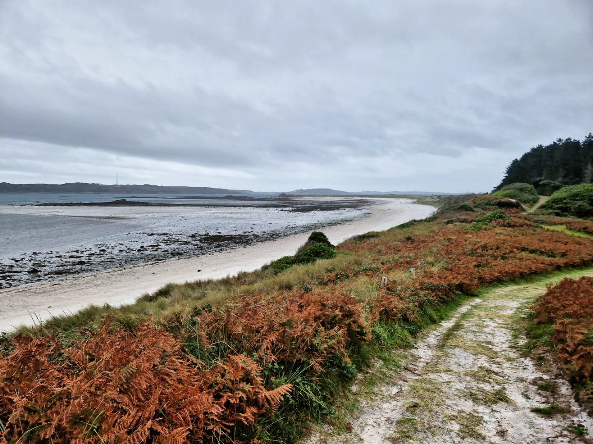 South West Coastal Monitoring tweet media