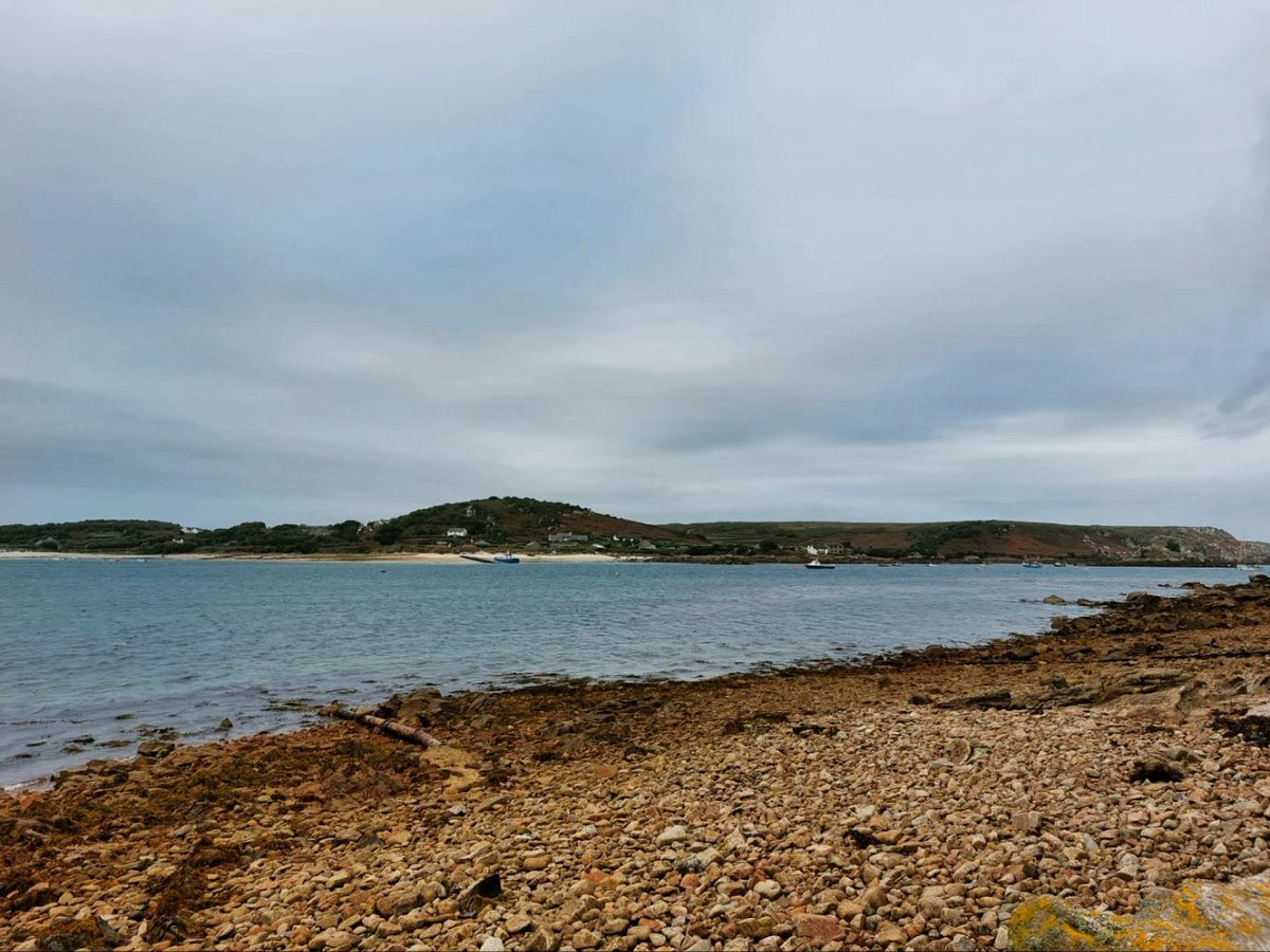 South West Coastal Monitoring tweet media