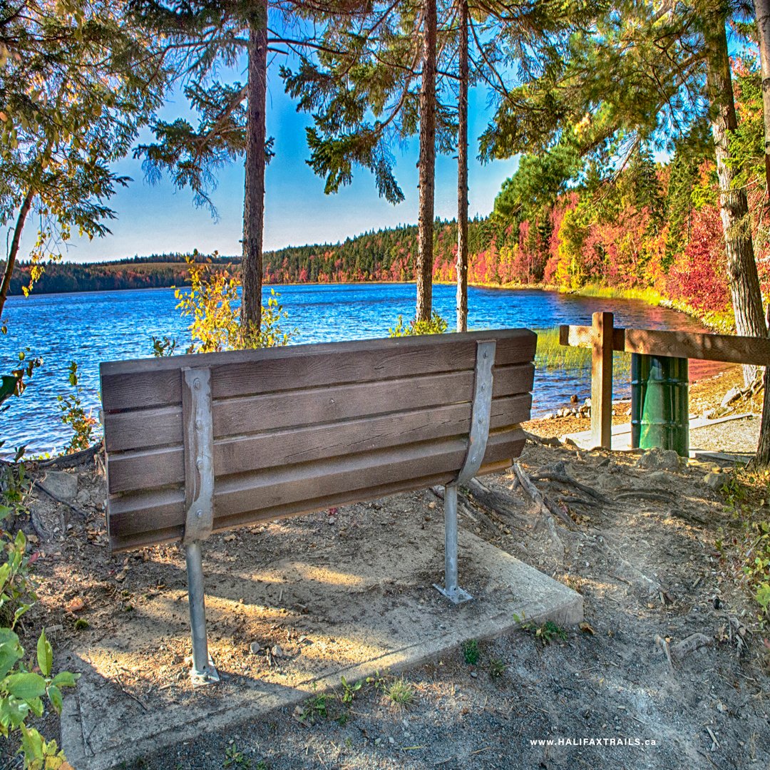 •Its sandy shoreline is framed with  #AutumnVibes🍂. Explore to find old-growth trees &amp; an adjacent wetland worthy of a "Treasured Wetland" designation.
• Follow <a href="/sandylake_park/">Sandy Lake Conservation Association</a> &amp; help them protect this urban gem.
•Map, guide &amp; 360° virtual tour: halifaxtrails.ca/sandy-lake-par…