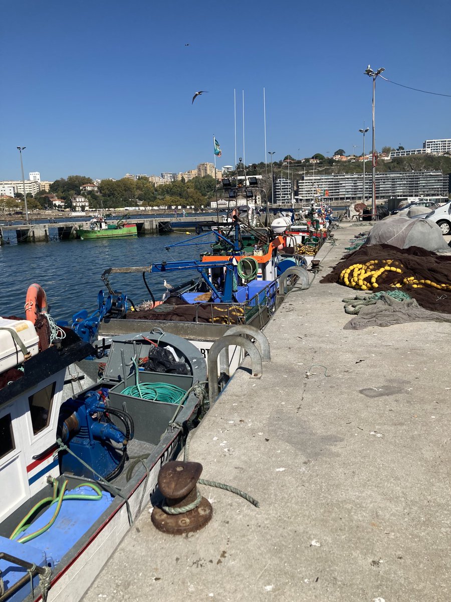 RepSaraHannan's tweet photo. When you are a fishing family & travel to port communities there are ALWAYS boats to see and fish to eat. Portugal. Where they eat 5x the seafood per person as Americans. #followingseas #blueeconomy #akleg https://t.co/J9II8Zz9wQ