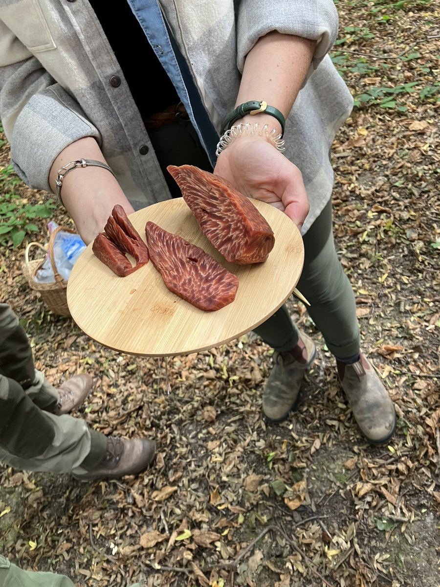 Juniper90174700's tweet photo. Foraging with @EarthwildLondon 
I’ve learnt so much, such as commercial mushrooms are shocked into life! 
Beefsteak mushroom is delicious!
Silver birch sap tastes like liquorice
and I like mushroom coffee! https://t.co/nel9MwtJqX