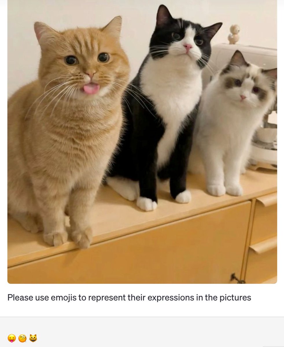 ericwang42's tweet image. 😛🧐😺 from #ChatGPTvision