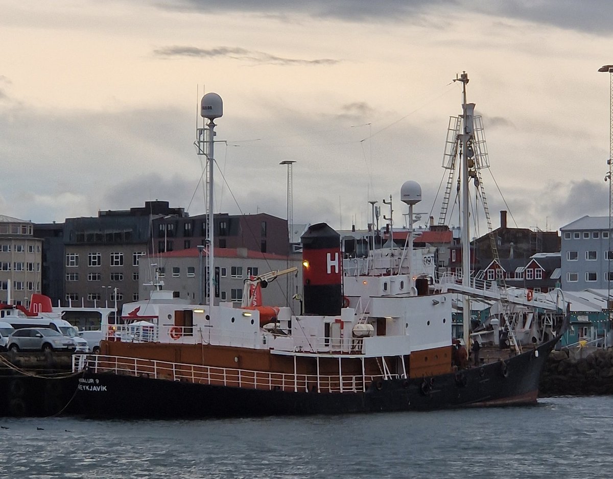 Hvalur 9 has docked at the old harbour in Reykjavík, and its harpoon gun has been removed. Hvalur 8 will soon follow suit, marking the end of the 2023 fin whaling season.