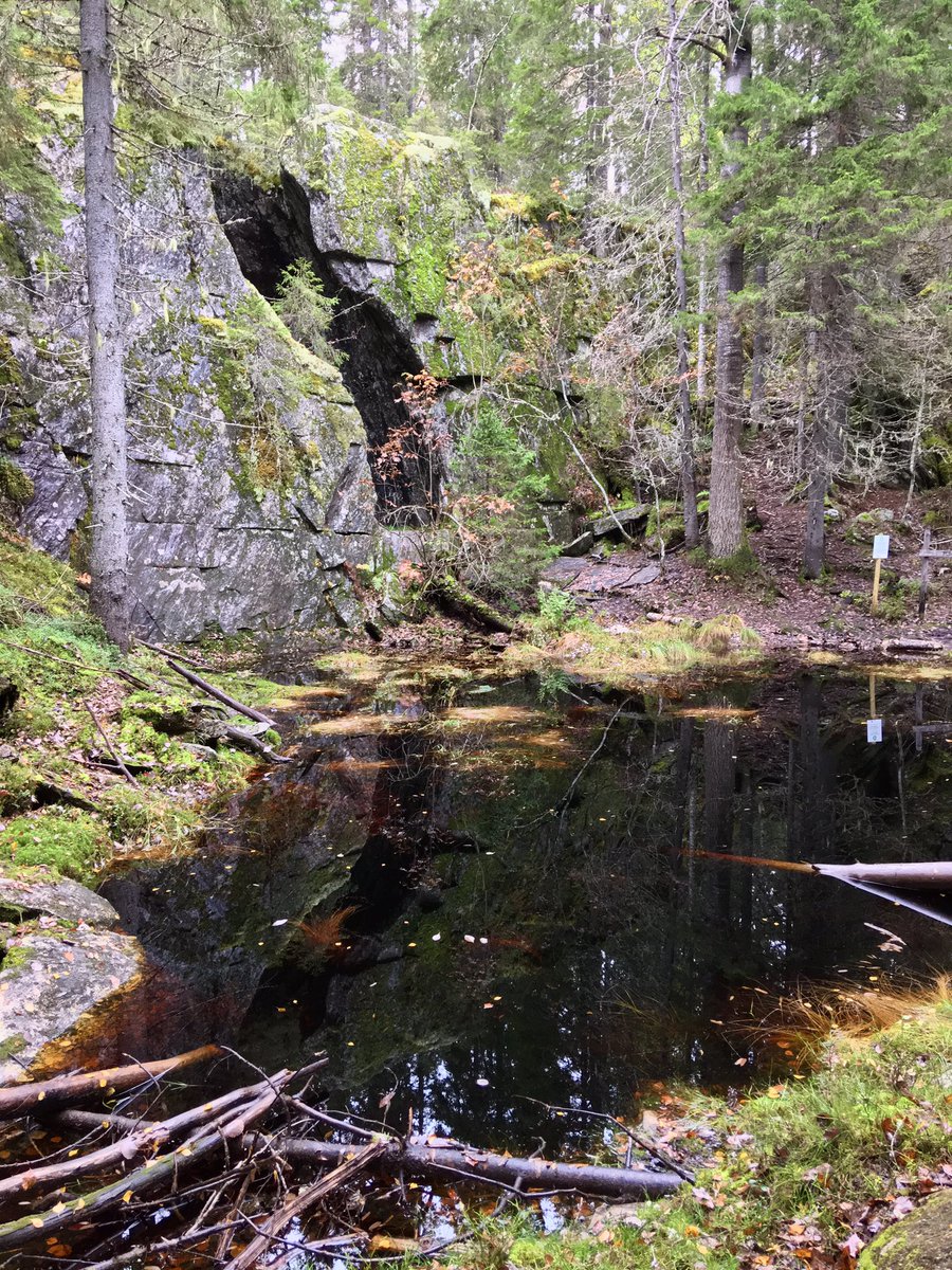 Annina Kantelinen tweet media