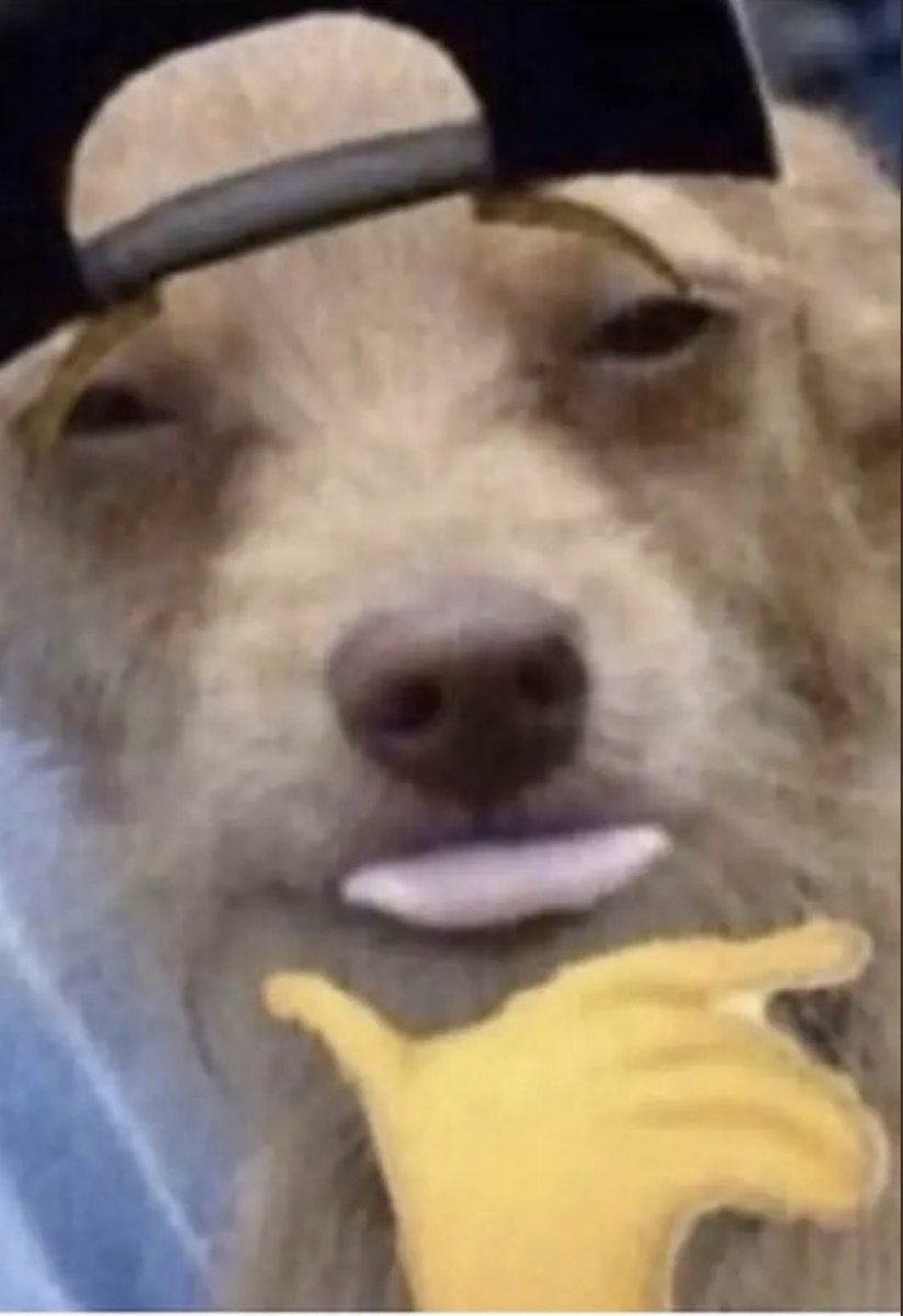 AlecSweatpants tweet media