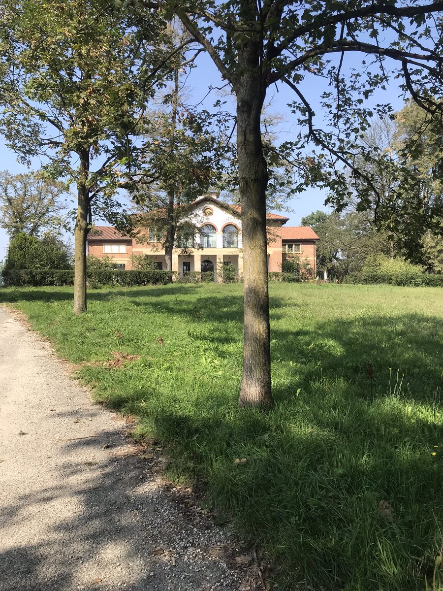 FedericaCambini's tweet photo. La fortuna di avere a due passi da casa il parco recintato più grande d’Europa 🥰🥰🥰 #ParcoDiMonza https://t.co/azwAoSv3MC