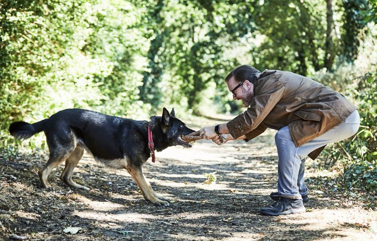 Ricky Gervais tweet media