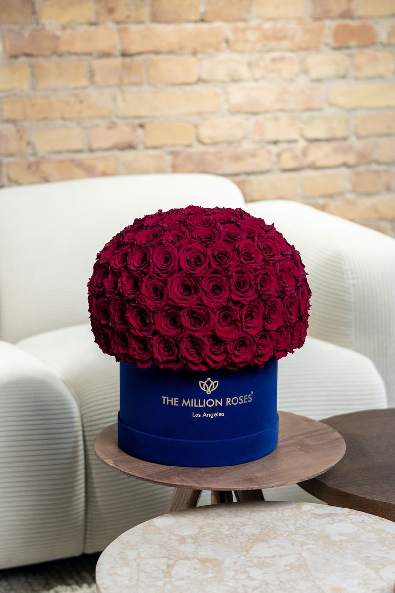 themillionroses's tweet photo. #TheMillionRoses https://t.co/2sbctb8aJS