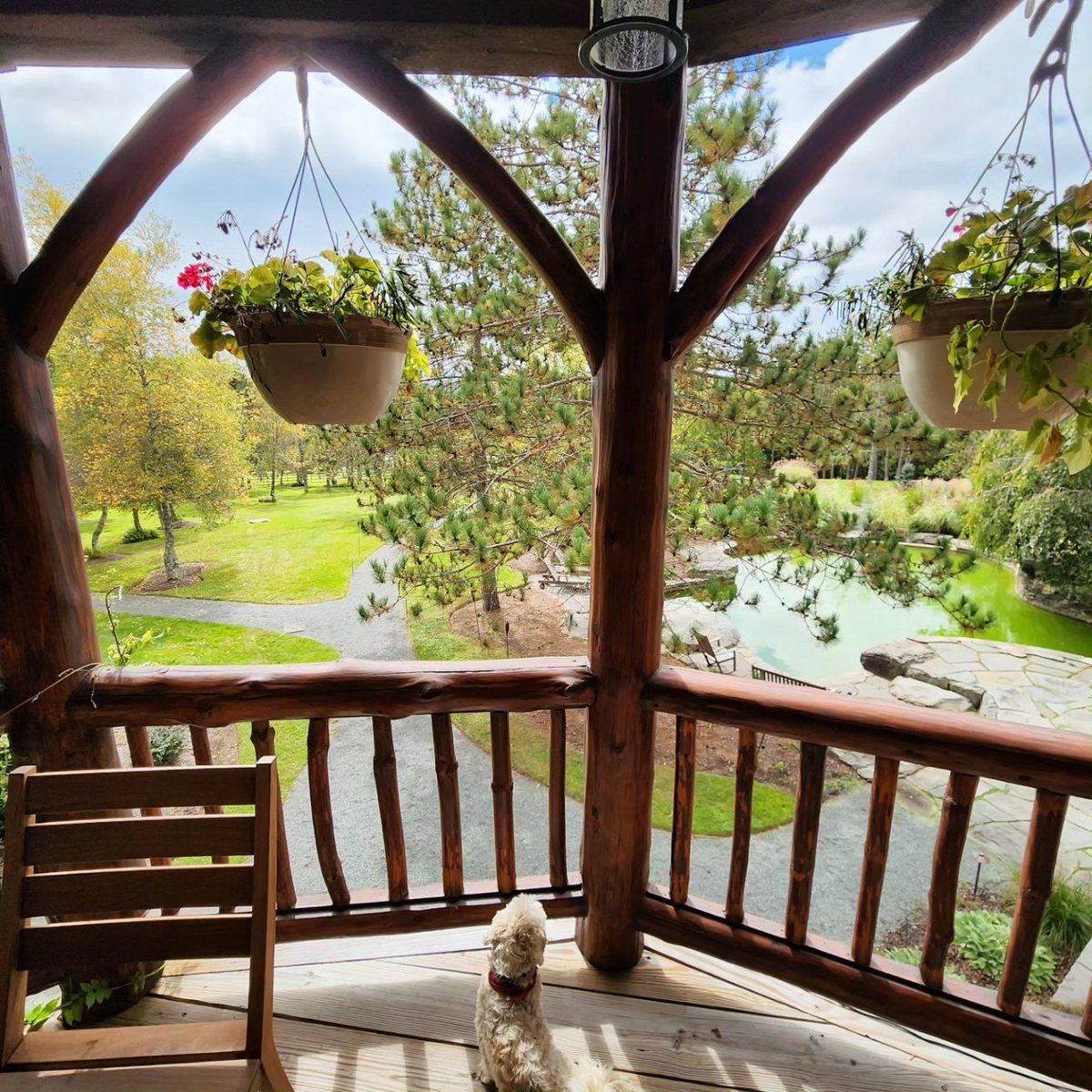 Nothing like forest bathing (Shinrin Yoku) and relaxation in the Catskills ❤️🌲🍂 

#naturelover #chatwallodge