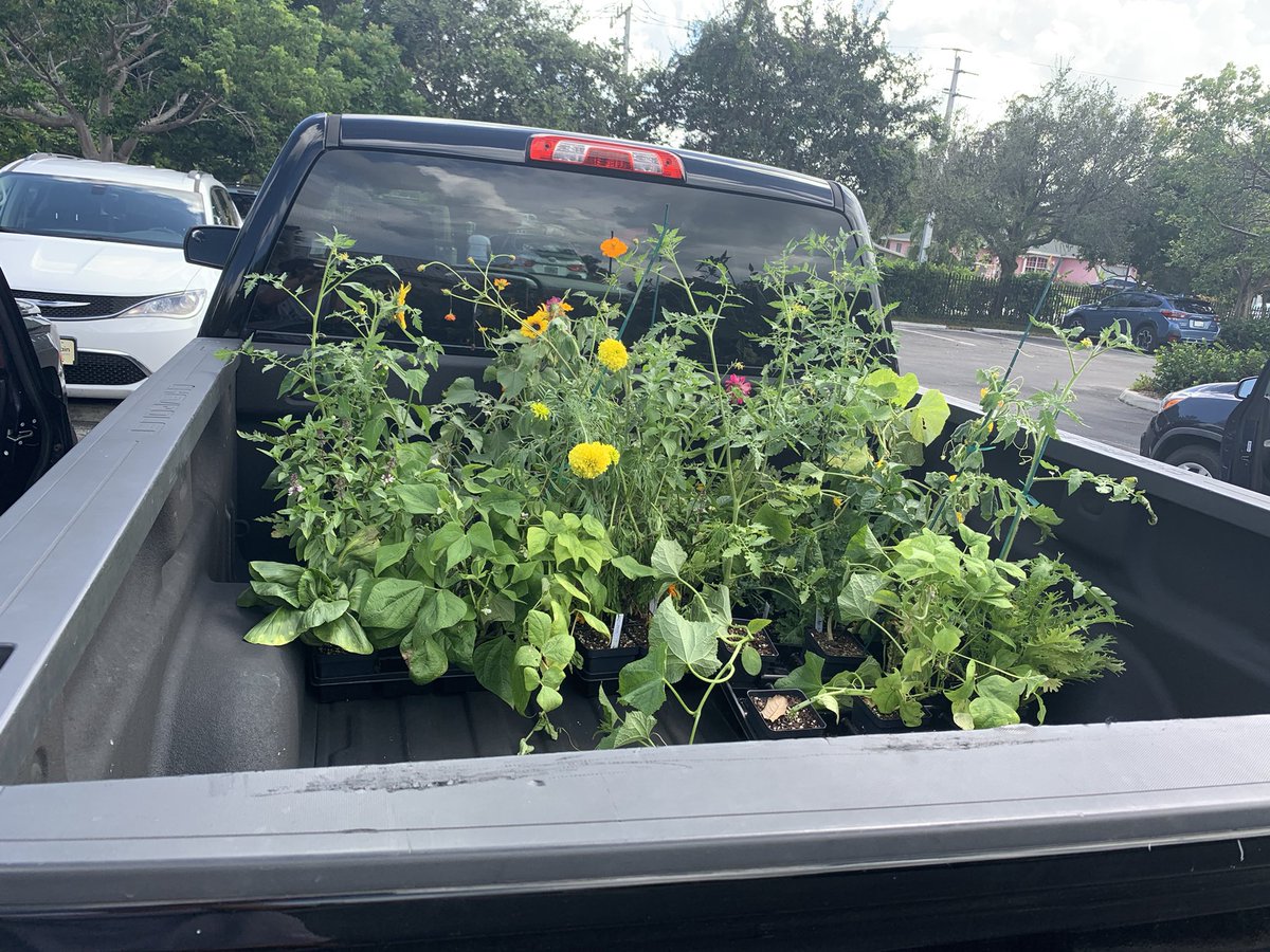 Great morning <a href="/NaplesBotanical/">Naples Botanical Garden</a> with the wonderful Mrs. Denny. We got lots of plants to start out garden season <a href="/hceotters/">Herbert Cambridge Elementary</a> !