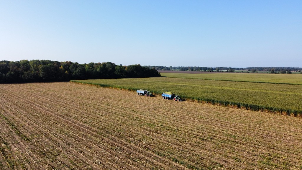 Al Sutherland tweet media