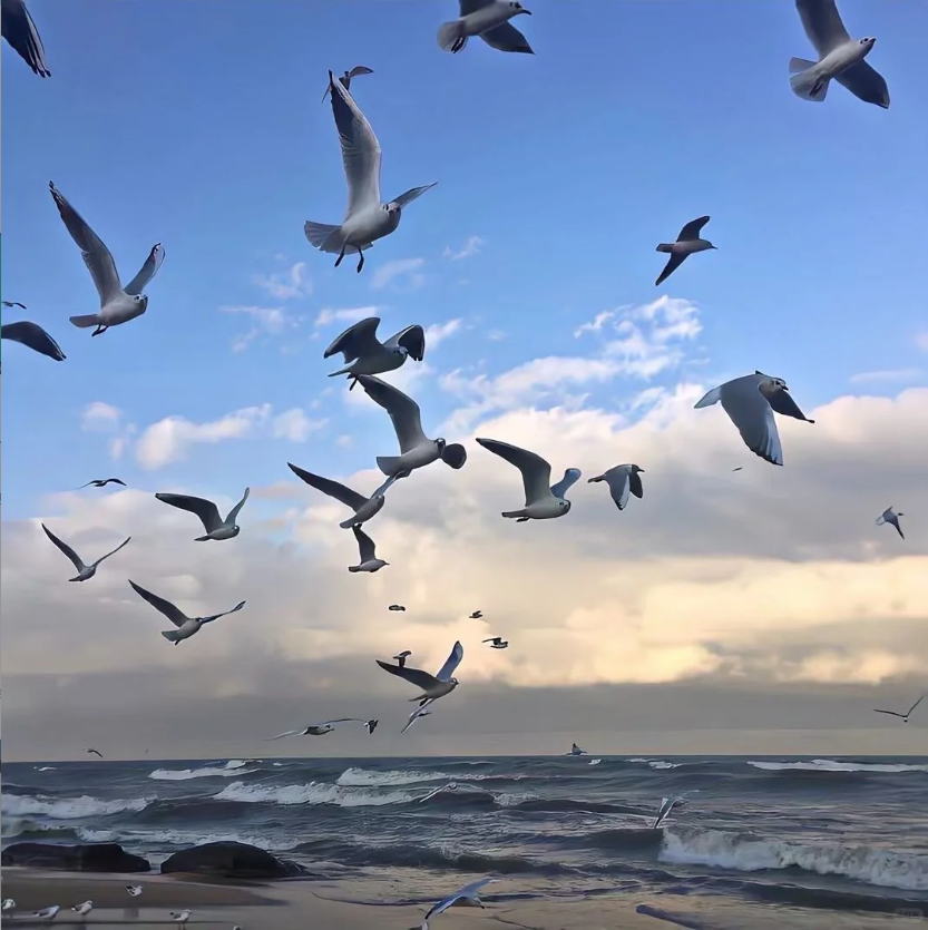 CafeAndShop's tweet photo. Live a life of warmth and kindness, never giving up love and freedom https://t.co/FGPvWytRsP
