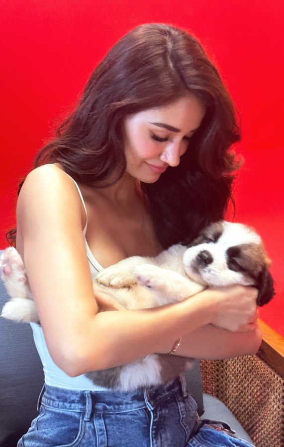 F7SUH0DW4AA4NQ8?format=jpg&name=900x900