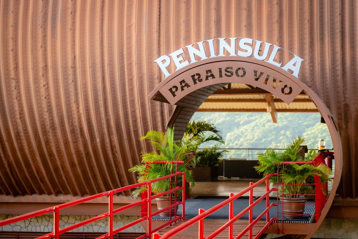 PeninsulaRests's tweet photo. ¡Bienvenidos al Paraíso Vivo! 🫶

Una buena vista y buena comida, es la combinación perfecta.😍

Abrimos todos los días del año.🙌

Informes y reservaciones ⬇️
☎️ 744 383 4218 https://t.co/1U6ZmYpXwK